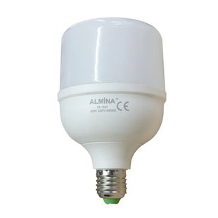 Світлодіодна LED-лампа Almina DL-030 E27 30 Вт з акумулятором eve1938 фото
