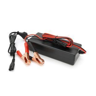 Зарядний пристрій для акумуляторів Li-ion 16.8V 4S 5A індикація з крокодилами Clips 172x72x40mm 2000000368986YT фото