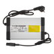 Зарядное устройство для аккумуляторов LiFePO4 12V (14.6V)-10A-120W 9533LP фото 2