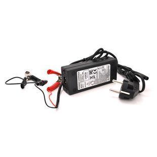 Зарядний пристрій Merlion для акумуляторів LiFePO4 12V(14,6V)4S2A-24W + крокодили OEM Q70 2000000185422YT фото