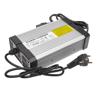 Зарядное устройство для аккумуляторов LiFePO4 72V (87.6V)-5A-360W 9591LP фото