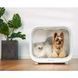 Сушка PETKIT PD10 AIRSALON Max PRO 99-10025855VIAT фото 5