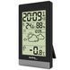 Метеостанция Technoline WS9132 Black (WS9132) DAS301788DASM фото 8