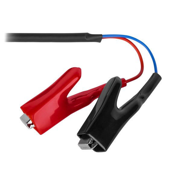 Зарядний пристрій для акумуляторів LiFePO4 24V (29.2V)-10A-240W 14583LP фото