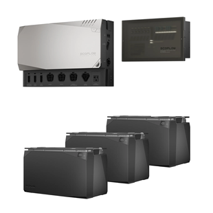 Комплект энергонезависимости Ecoflow Power Prepared Kit 15 kWh 43-00389TRIN фото